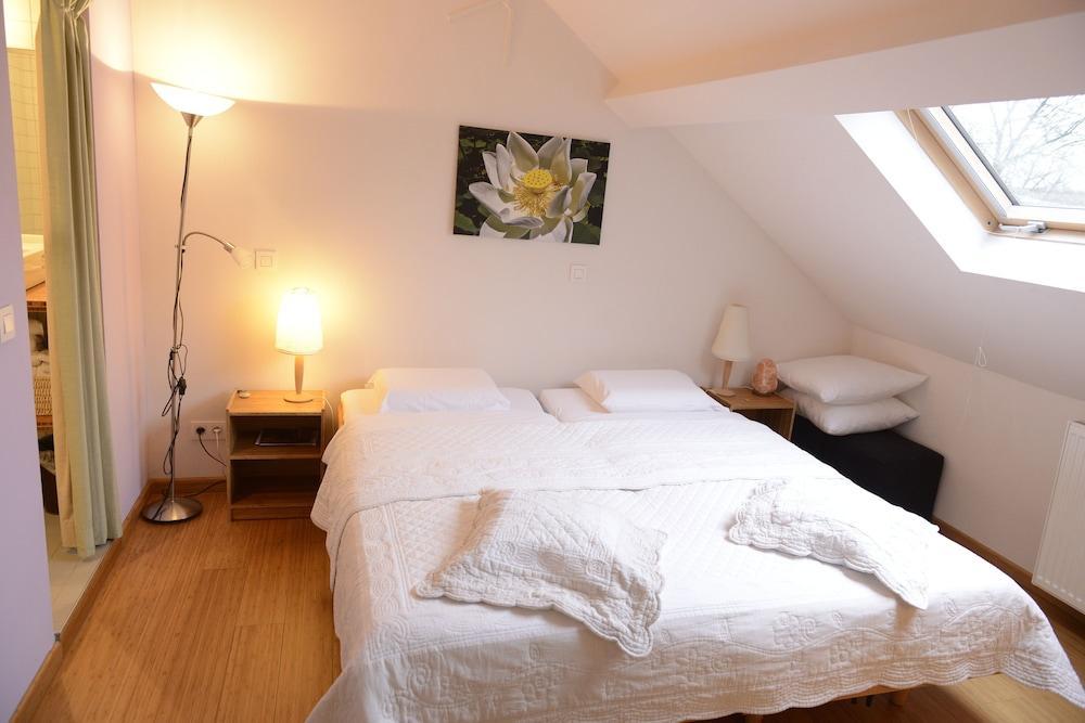 B&B Bio Brussels Saint-Gilles エクステリア 写真